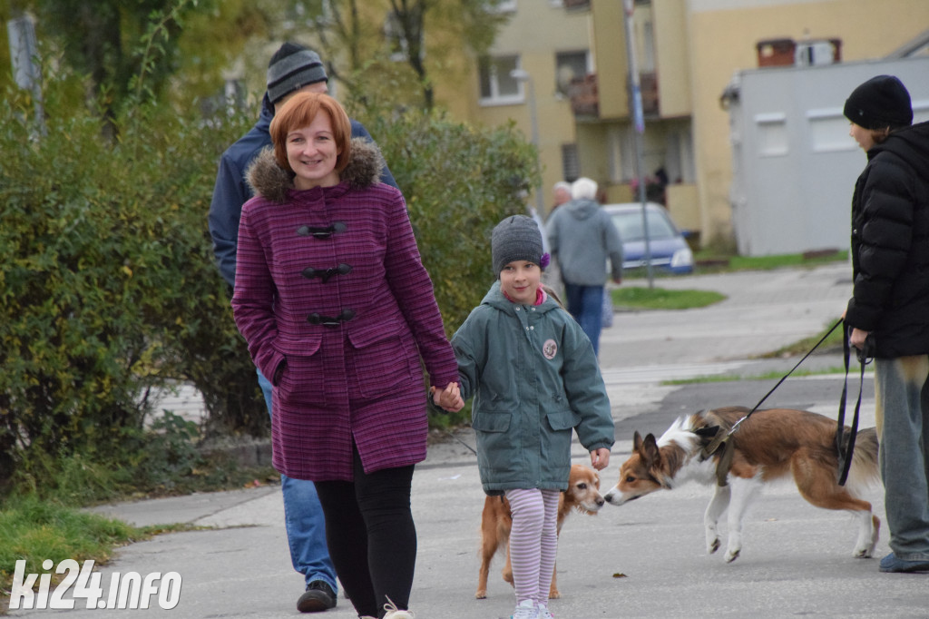 Parada kundelków i adopciaków