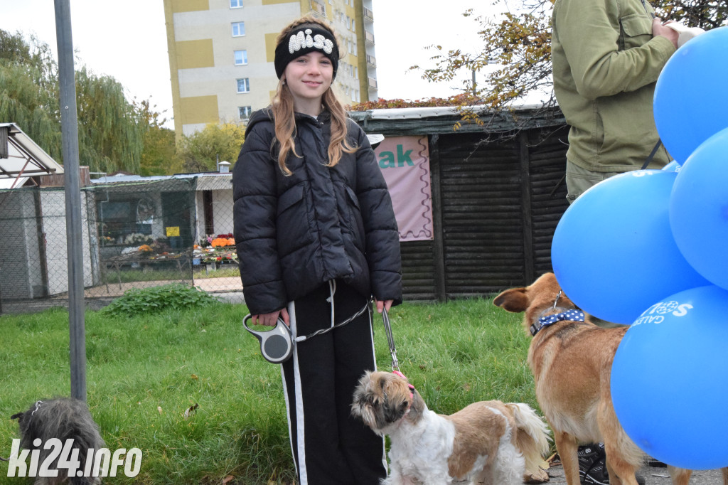 Parada kundelków i adopciaków