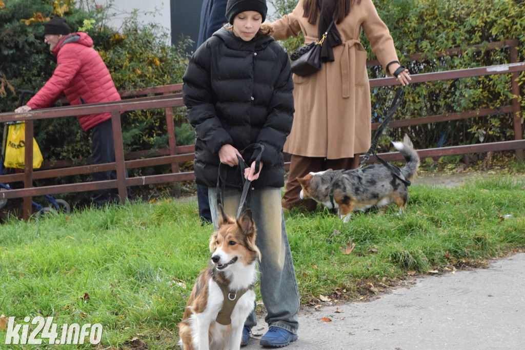 Parada kundelków i adopciaków