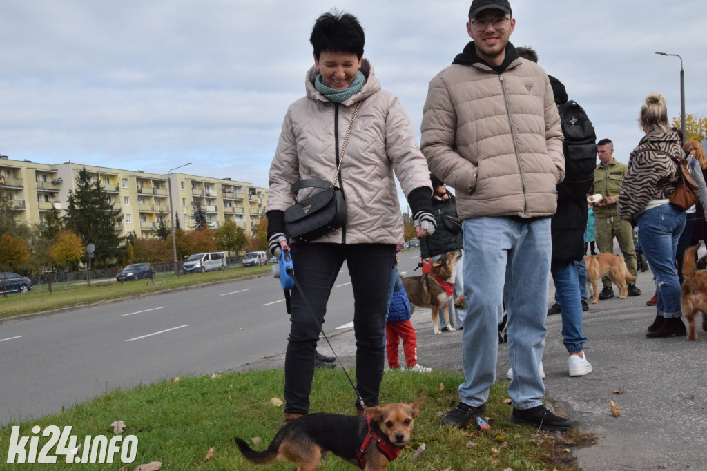 Parada kundelków i adopciaków