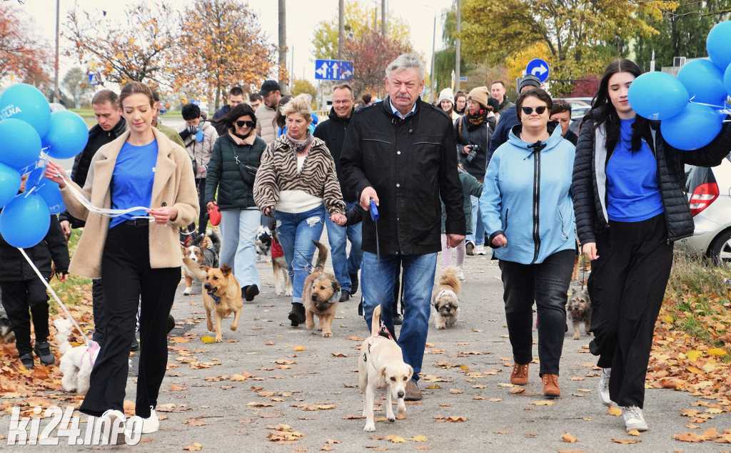 Parada kundelków i adopciaków