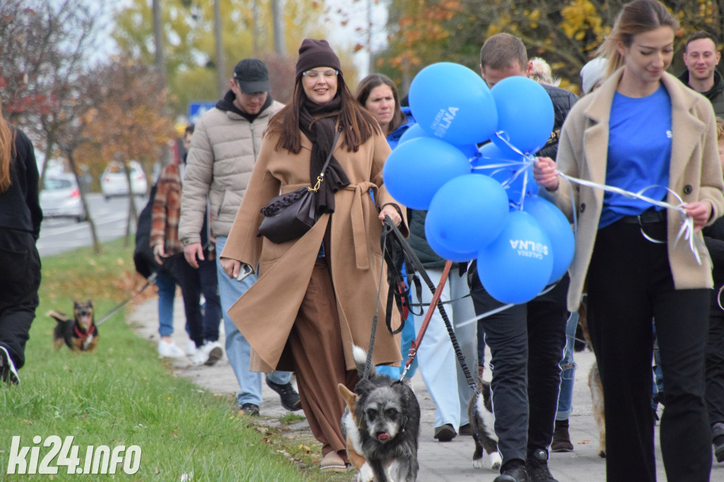 Parada kundelków i adopciaków