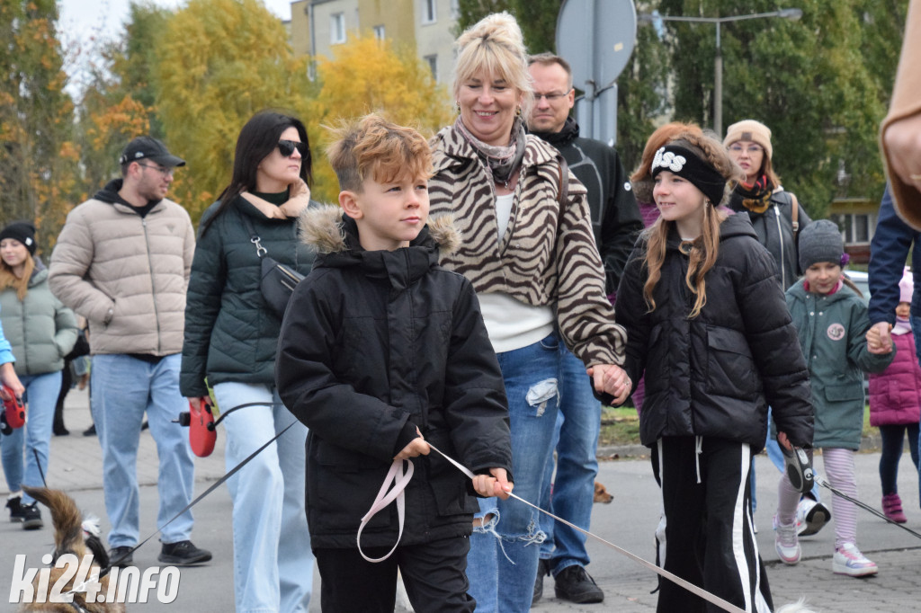 Parada kundelków i adopciaków