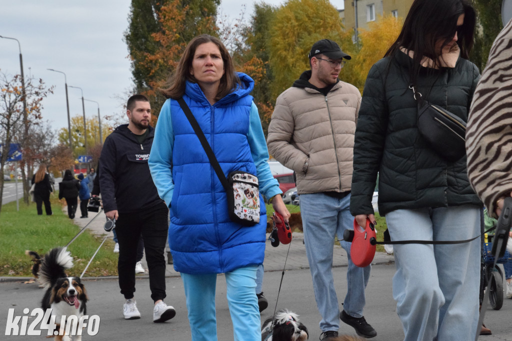 Parada kundelków i adopciaków