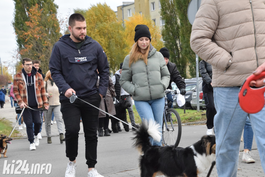 Parada kundelków i adopciaków