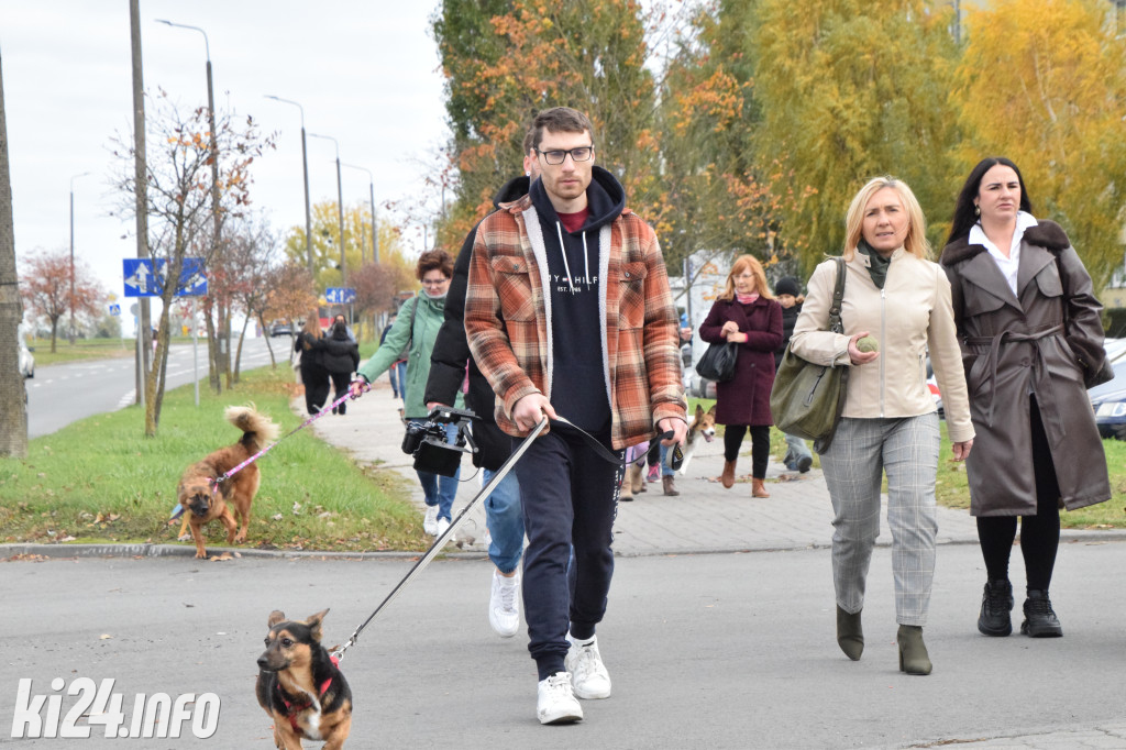 Parada kundelków i adopciaków