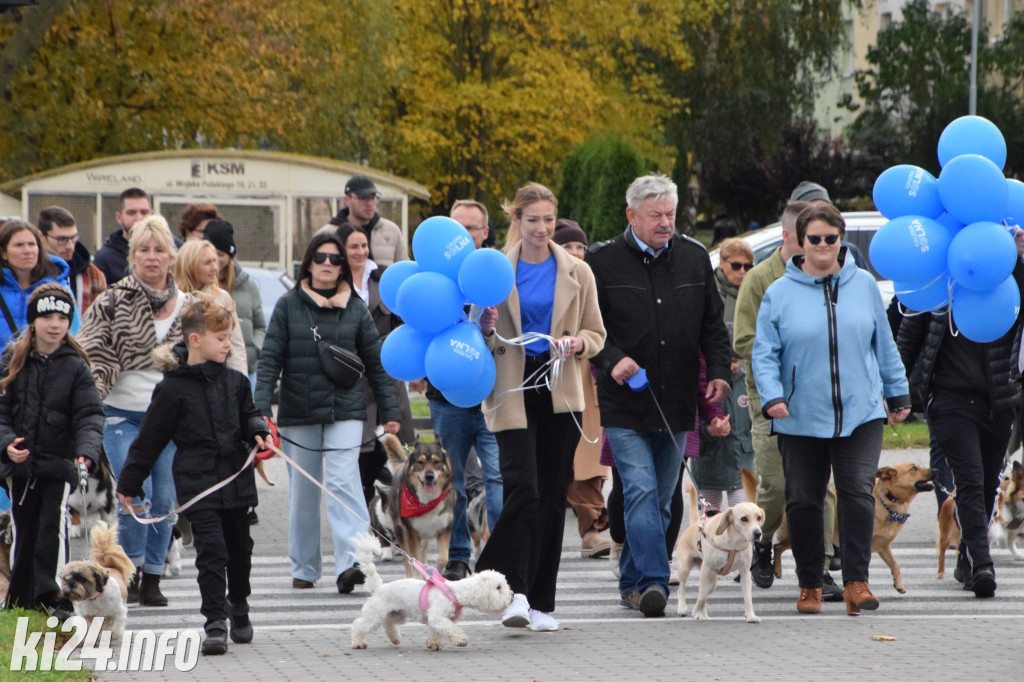 Parada kundelków i adopciaków