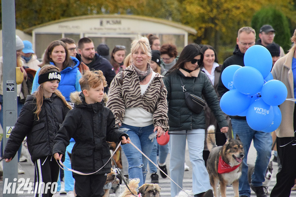 Parada kundelków i adopciaków