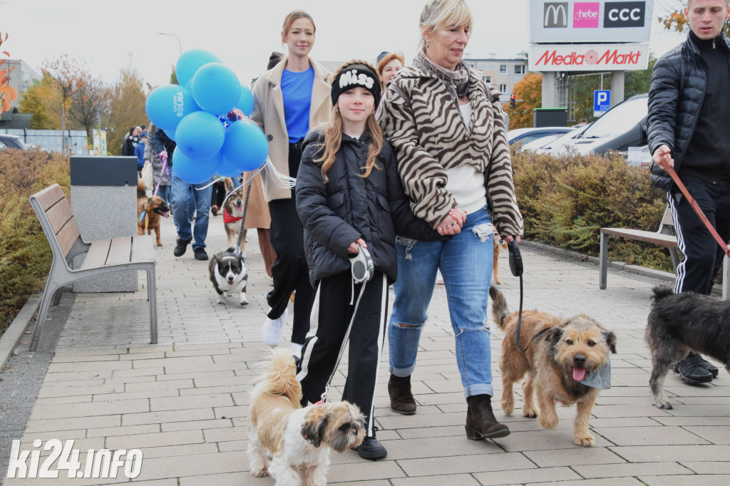 Parada kundelków i adopciaków