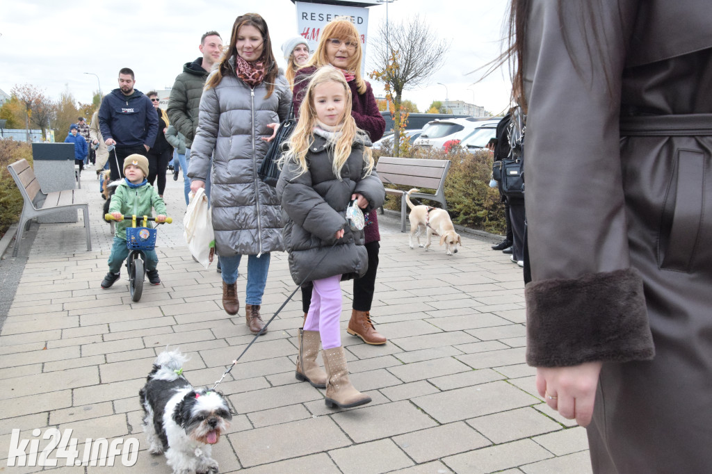 Parada kundelków i adopciaków