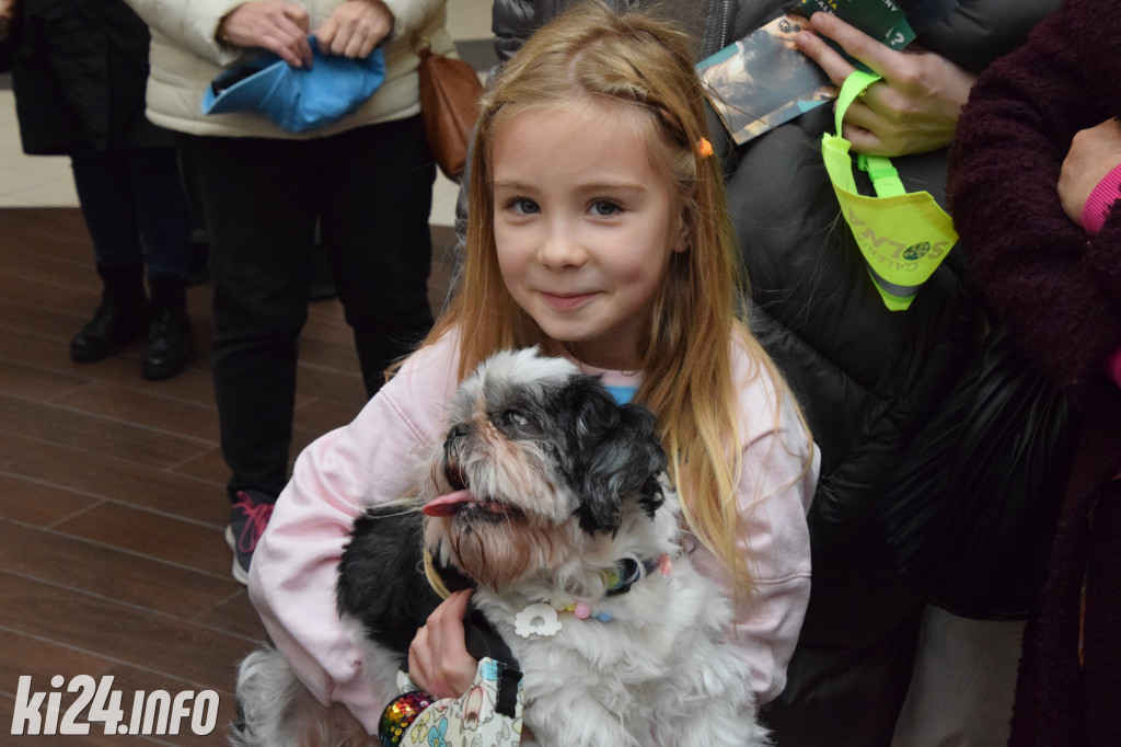 Parada kundelków i adopciaków