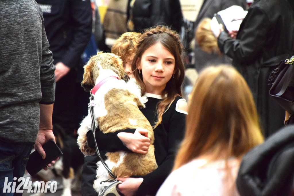 Parada kundelków i adopciaków