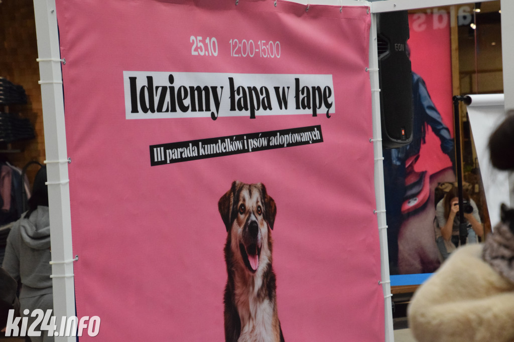 Parada kundelków i adopciaków