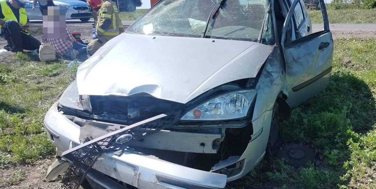 Zdjęcie