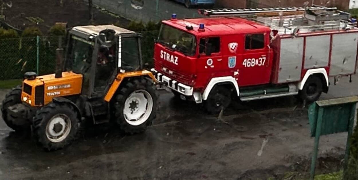 Zdjęcie