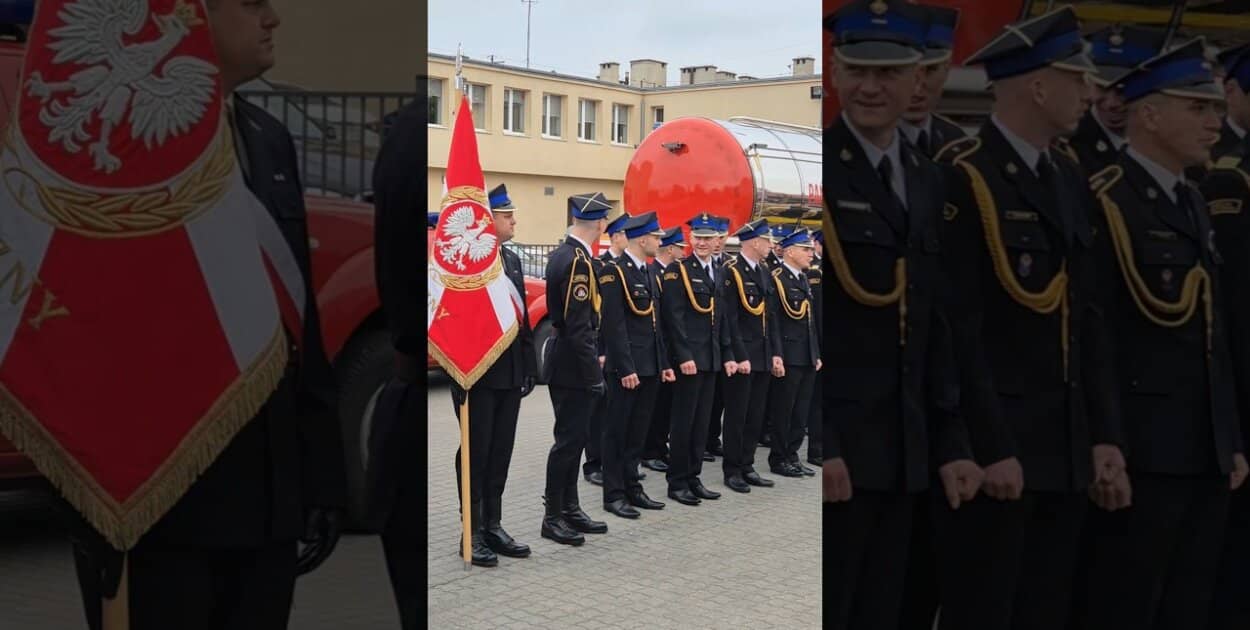 Zdjęcie