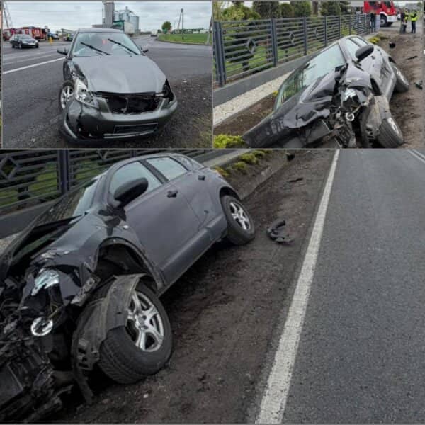 Zdjęcie
