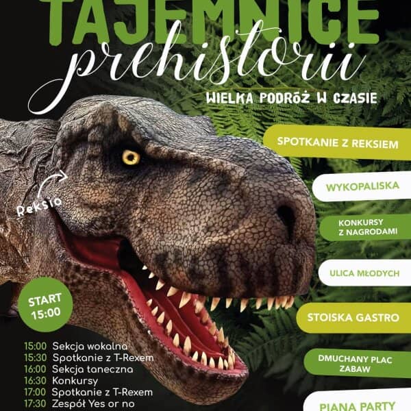 Zdjęcie