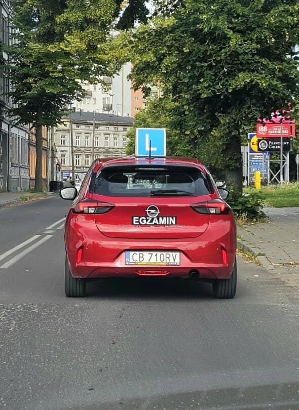 Zdjęcie