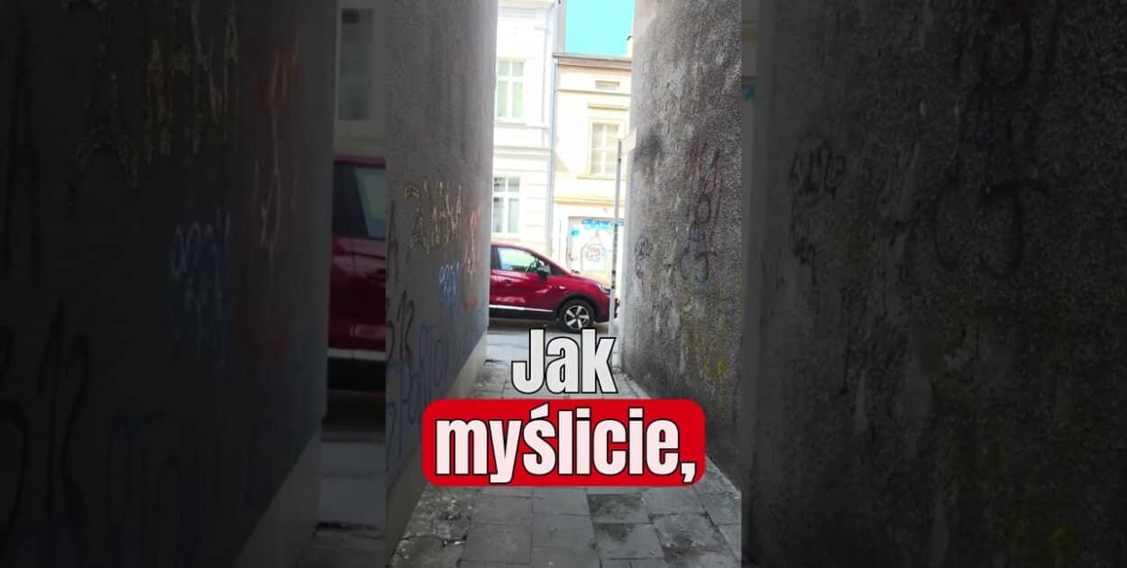 Zdjęcie
