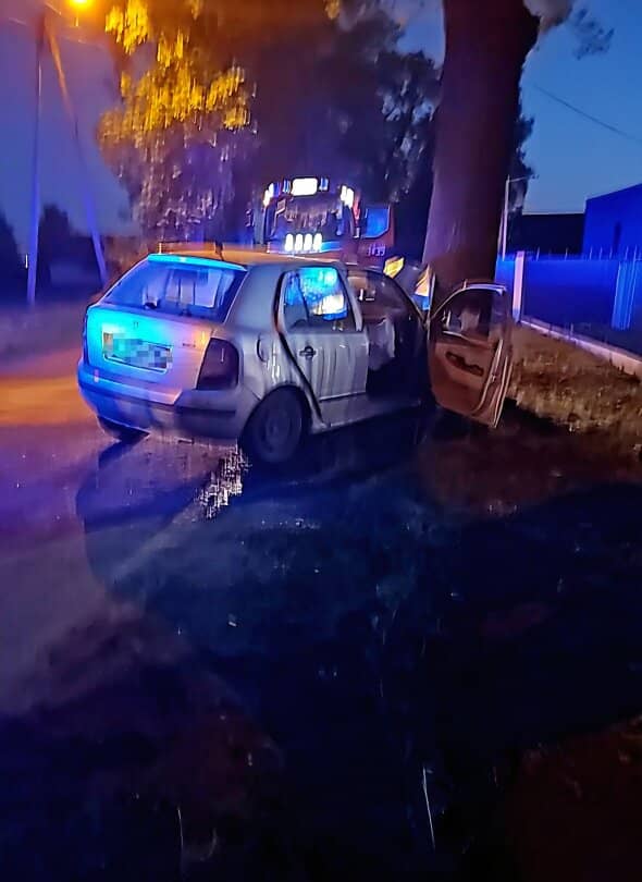 Zdjęcie