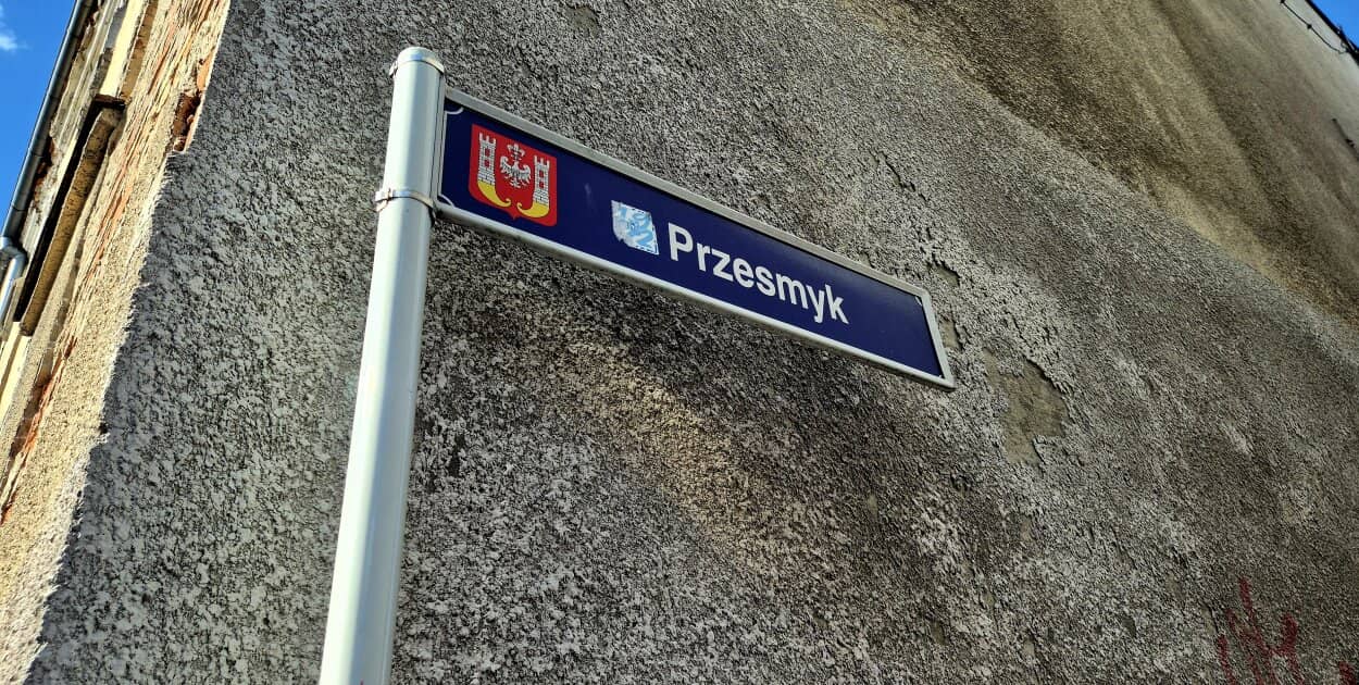 Zdjęcie