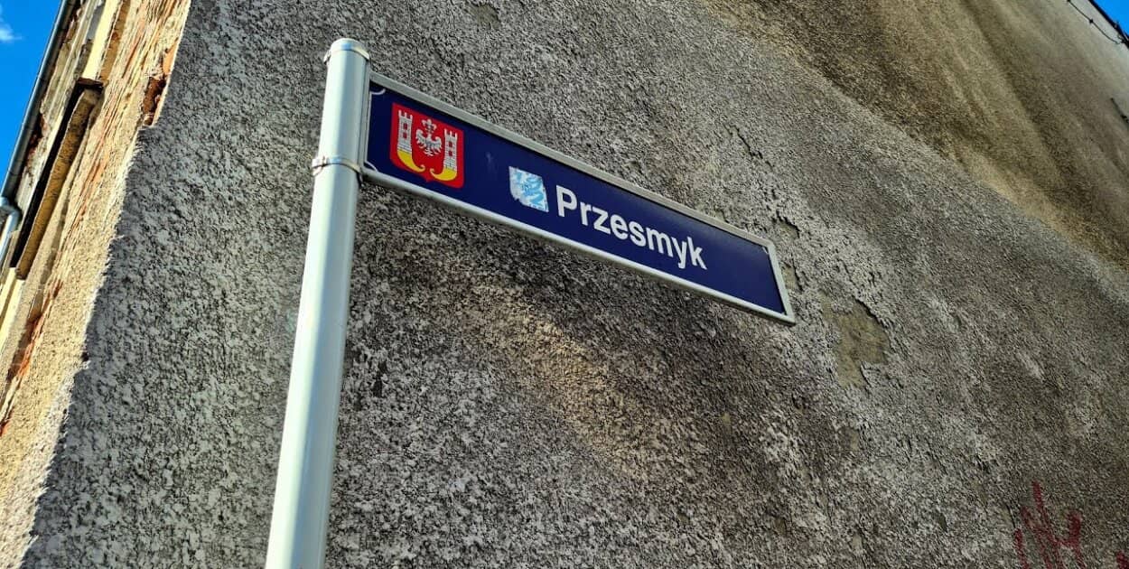 Zdjęcie