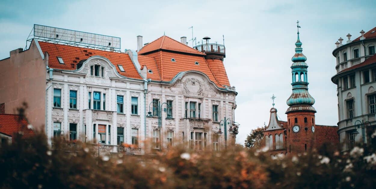 Zdjęcie