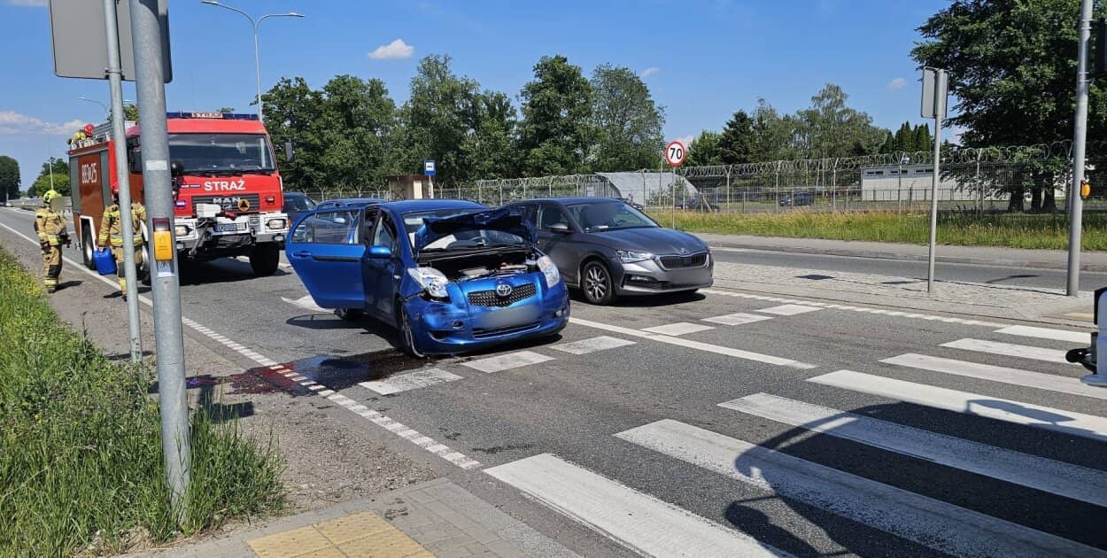 Zdjęcie