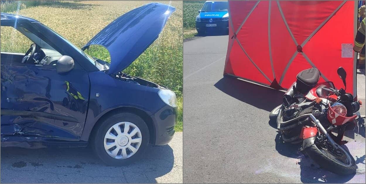 Zdjęcie