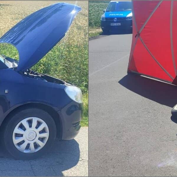 Zdjęcie