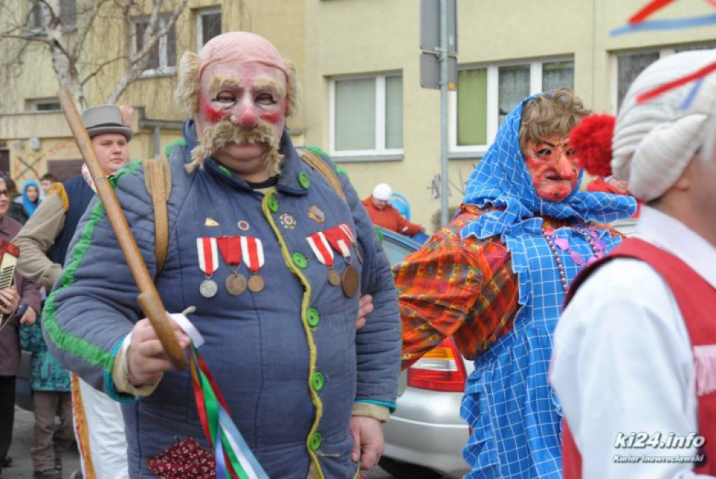 LIVE: Kozy grasują po mieście