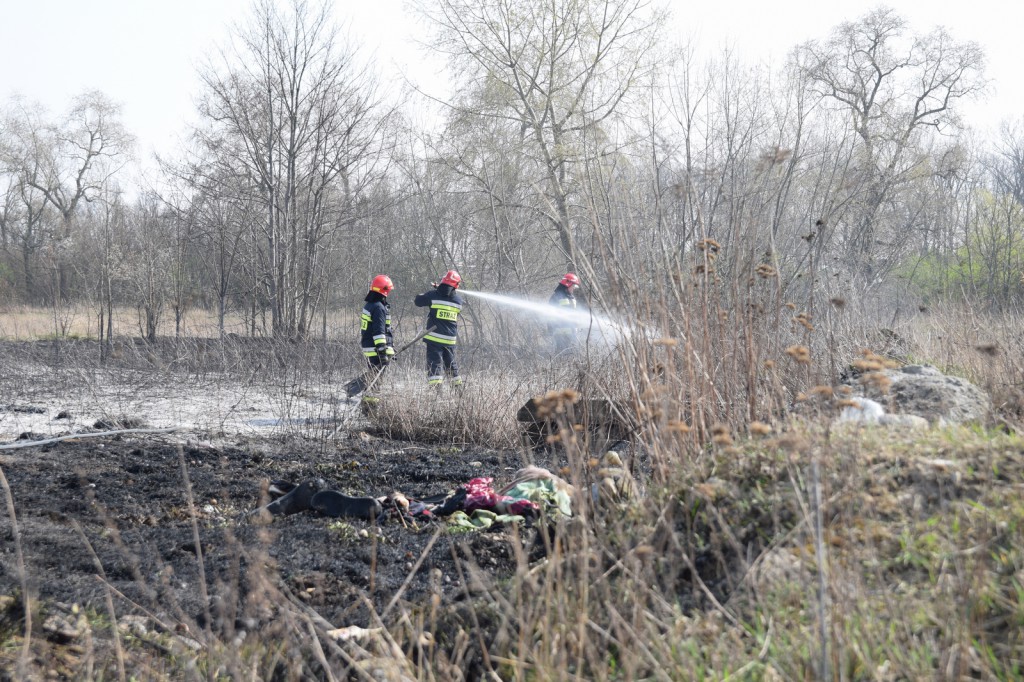 Płoną trawy w Inowrocławiu
