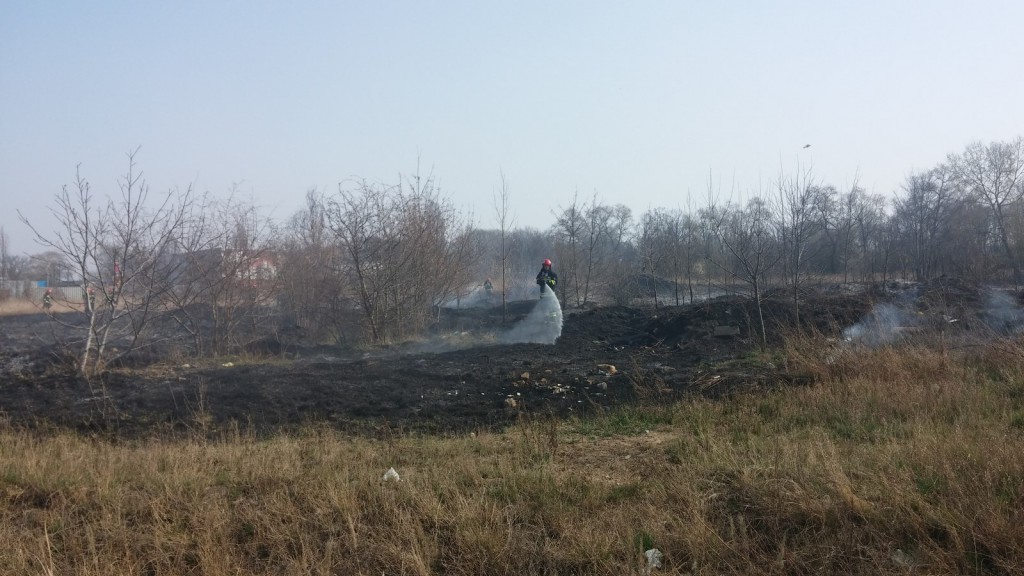 Płoną trawy w Inowrocławiu