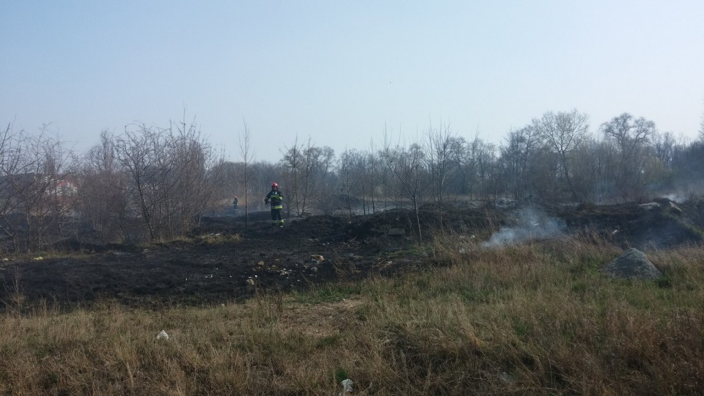 Płoną trawy w Inowrocławiu