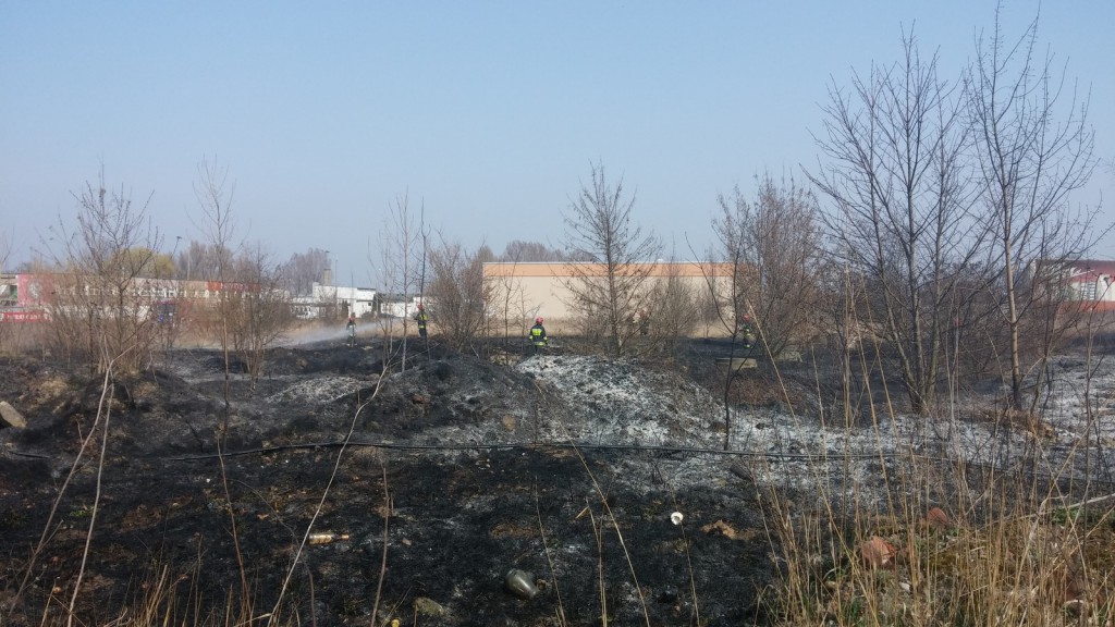 Płoną trawy w Inowrocławiu