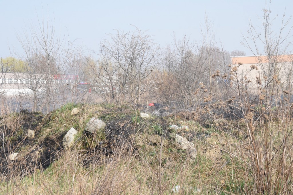 Płoną trawy w Inowrocławiu