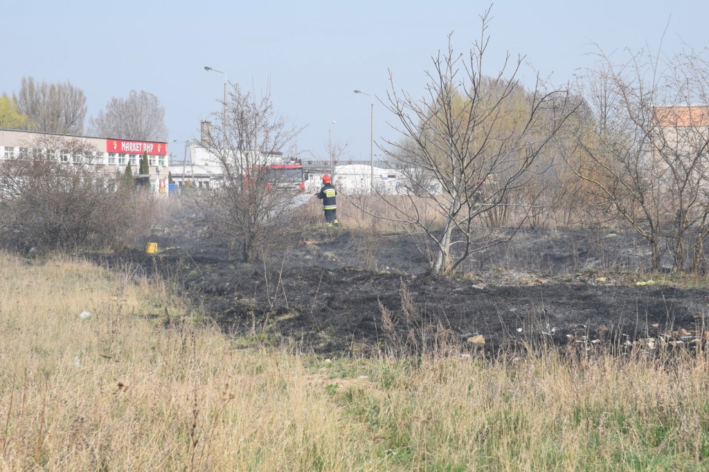 Płoną trawy w Inowrocławiu
