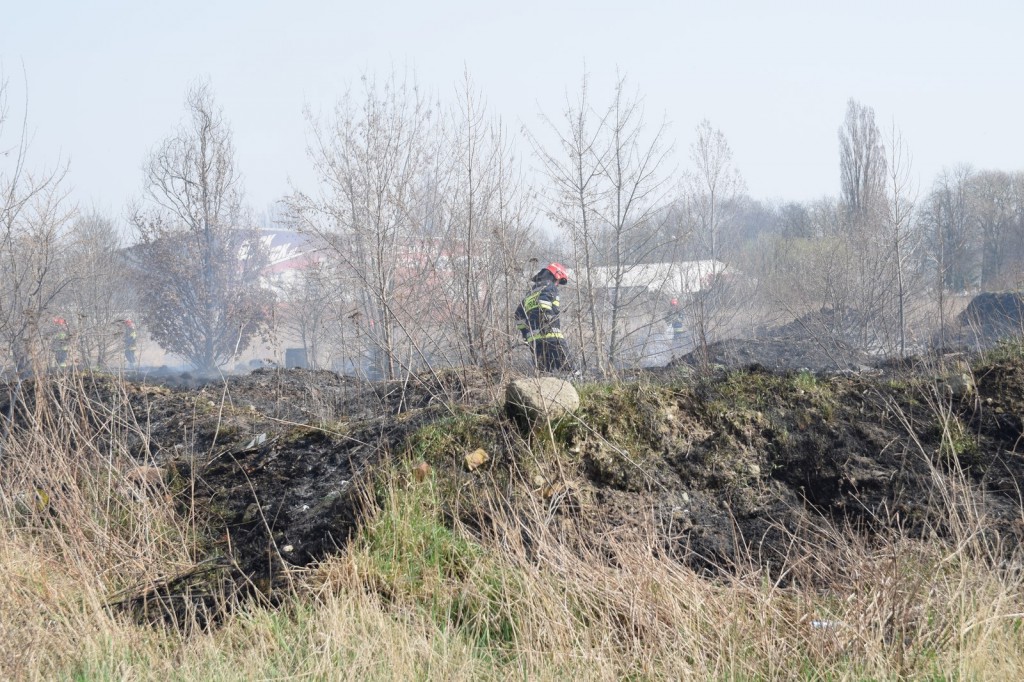 Płoną trawy w Inowrocławiu
