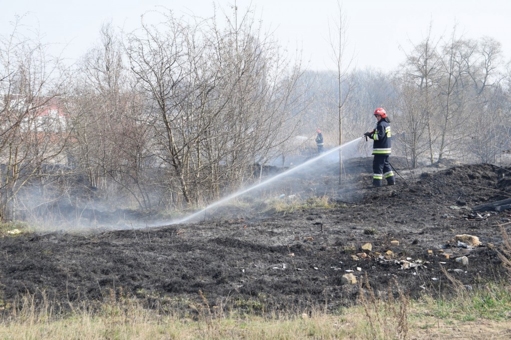 Płoną trawy w Inowrocławiu