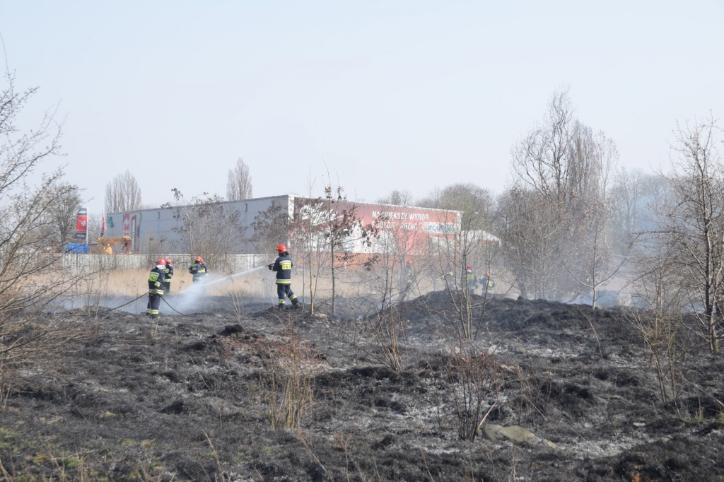 Płoną trawy w Inowrocławiu