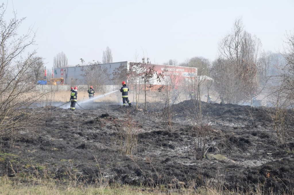 Płoną trawy w Inowrocławiu
