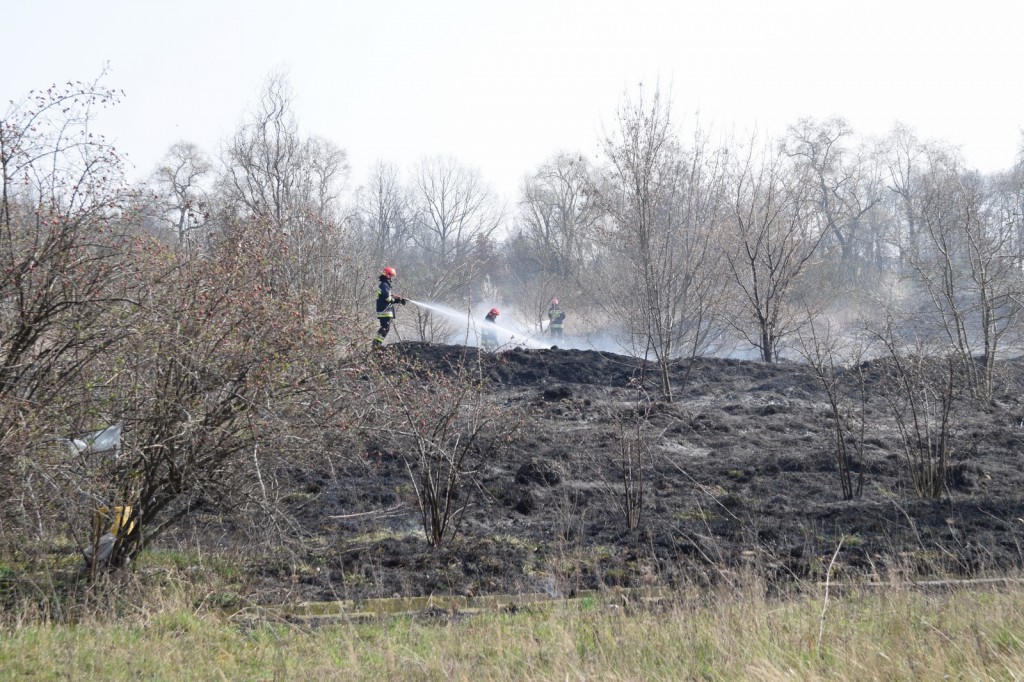 Płoną trawy w Inowrocławiu