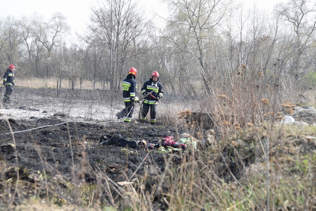 Płoną trawy w Inowrocławiu
