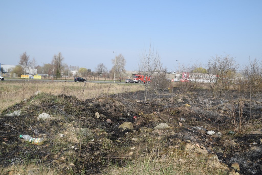 Płoną trawy w Inowrocławiu
