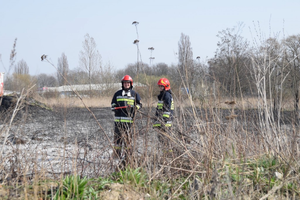 Płoną trawy w Inowrocławiu