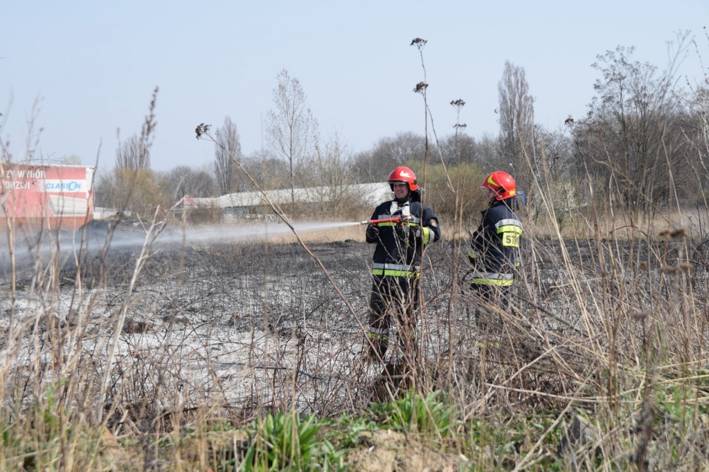 Płoną trawy w Inowrocławiu