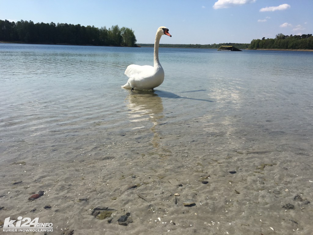W Przyjezierzu przed sezonem