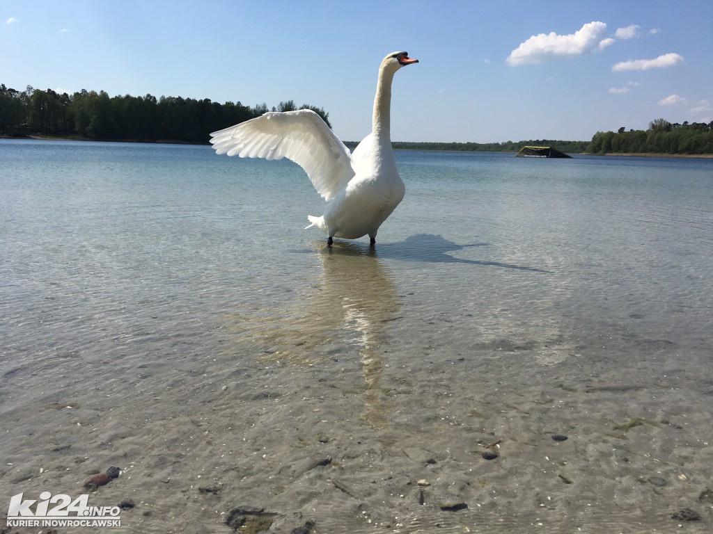 W Przyjezierzu przed sezonem
