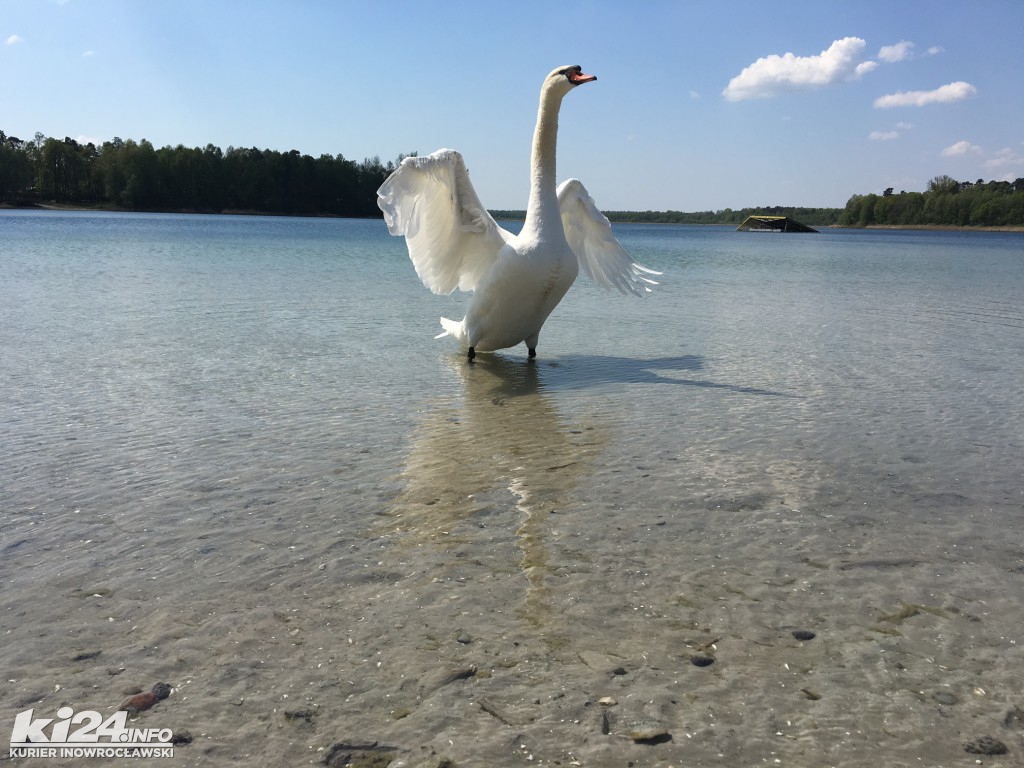 W Przyjezierzu przed sezonem